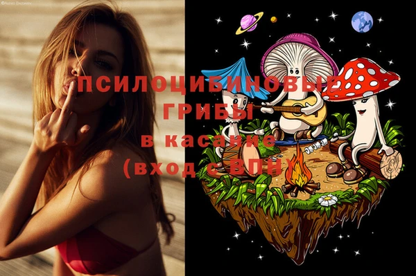 прущий лед Бородино