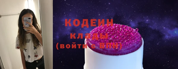 прущий лед Бородино