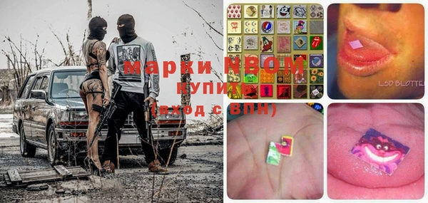 прущий лед Бородино