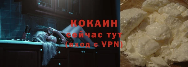 прущий лед Бородино